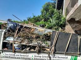 Best Property Management Cleanouts  in Edisto, SC