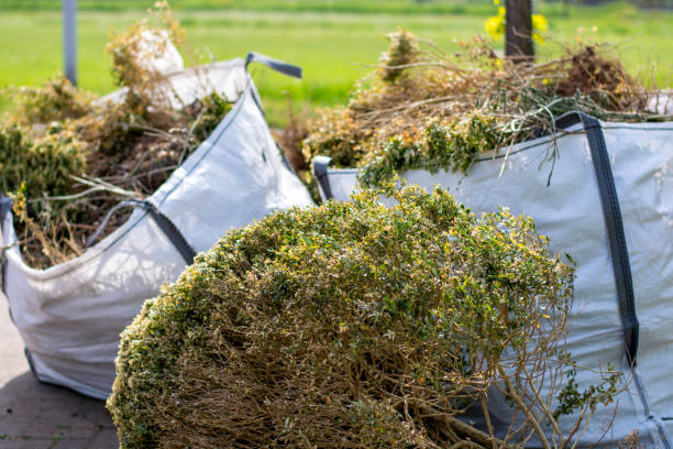 Best Retail Junk Removal  in Edisto, SC